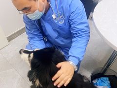 -中农国际动物医院24小时·猫科·骨科·急重症中心