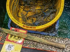 -国家五钻酒家·西樵旺阁渔村(西樵店)