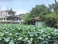 -莲湖公园