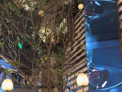 -桂满陇·海市蜃楼·黑金(国金店)