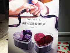 -ROSEONLY诺誓(磐基中心店)