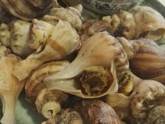-威海渔村(静安旗舰店)