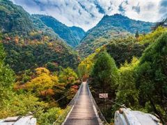 -黑河国家森林公园