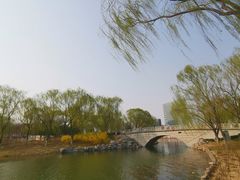 -大兴滨河森林公园