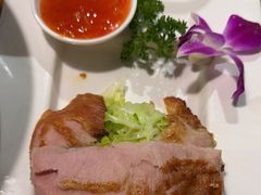 -新白鹿餐厅(百联中环店)