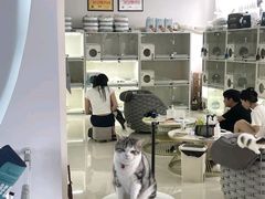 -lincat·猫舍(广州店)