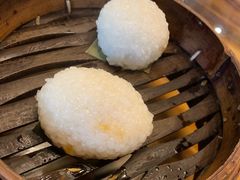 茨毛圆子-双塔老饭店