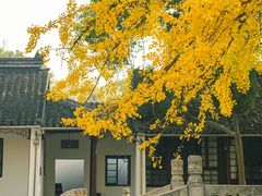 -西园戒幢律寺