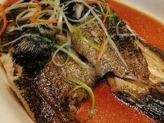 清蒸龙胆鱼-国惠大酒楼(宝龙店)