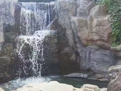 -燕塞湖鸟语林景区