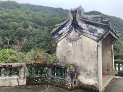 -雁南飞茶田景区