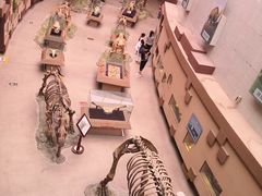 -陕西自然博物馆