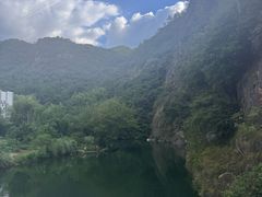 -芦茨金富饭庄·25年老字号·专做稻草鸡