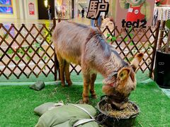 -保利MALL(天鹅湖店)