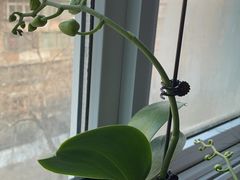 -派悦坊·甜品·蛋糕(日坛店)