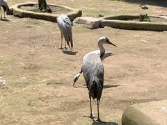 -哈尔滨北方森林动物园