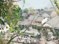 -大渡口区义渡公园
