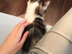 -唐会KTV(群力店)