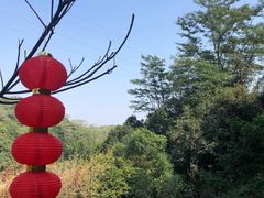 -阳台山森林公园