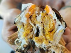 大闸蟹-丫丫蟹庄·苏式园林农家乐·阳澄湖大闸蟹(阳澄湖莲花岛店)