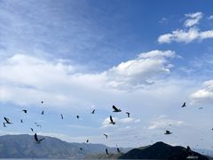 -丽江泸沽湖景区