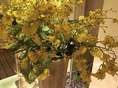 -黄金海岸水疗会所(凯利宾馆店)