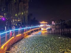 -鹅湖玫瑰文化园