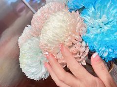 -海底捞火锅(攀枝花万达店)