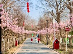 -武汉紫薇都市田园