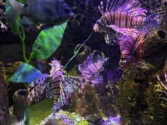 -太平洋海底世界