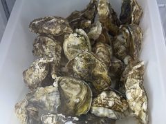 -嘎琉鲜切牛肉自助火锅