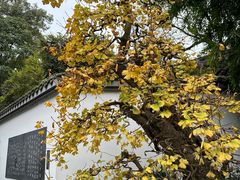 -成都杜甫草堂博物馆