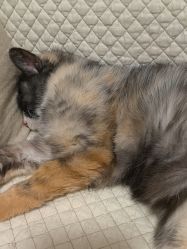 -爱儿宝孕妇儿童亲子摄影(月亮河店)