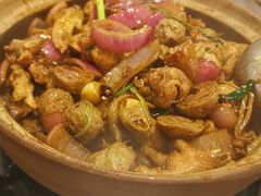 -胡须佬鸡煲四季火锅店(石厦西村直营店)