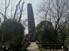 -上海佘山国家森林公园天马山园