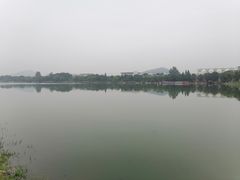 -羊山湖公园