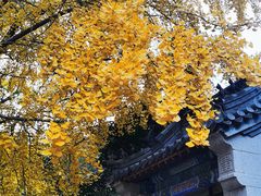 -青岛崂山太清宫