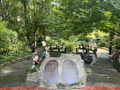 -成都市活水公园