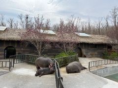 -济南野生动物世界