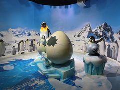 -海合安天津极地海洋公园
