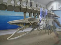 -厦门海底世界
