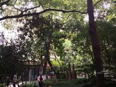 -浙江大学医学院附属第二医院(解放路院区)
