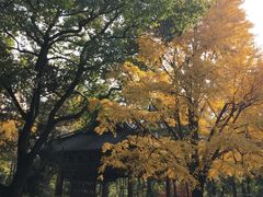 -汇龙潭