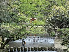 -五泄景区