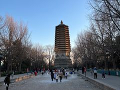 -玲珑塔公园