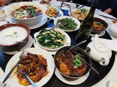 -食为先(Shark Fin)