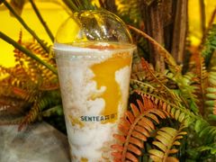 -SENTEA森茶(麦地丽日店)