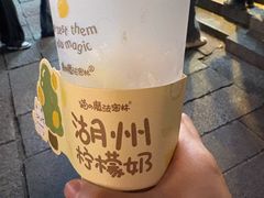 -猫的魔法密林(衣裳街店)