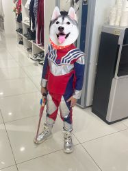 -小鬼当佳儿童摄影(通州外拍店)
