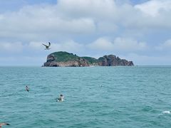 -海驴岛(荣成市)